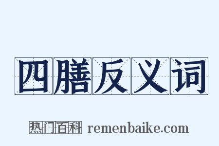 四膳反义词是什么意思的图片